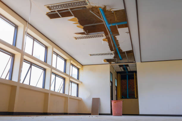 Best Residential water damage restoration  in West Van Lear, KY