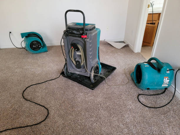Best Professional water damage repair  in West Van Lear, KY