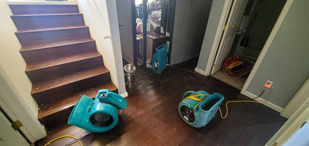Best Water damage restoration insurance claims  in West Van Lear, KY
