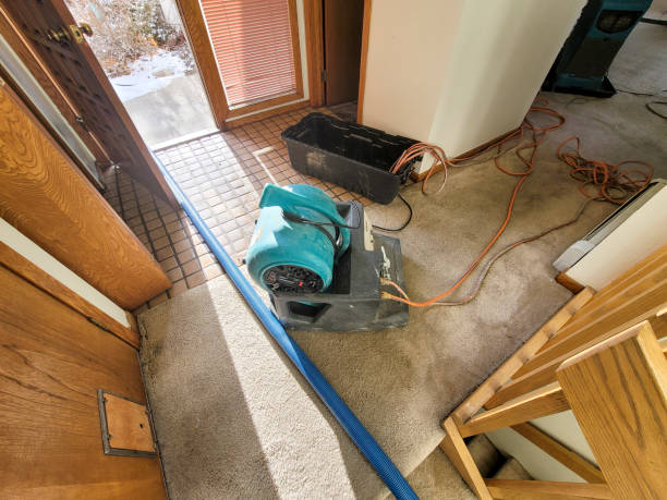 Best Residential water damage restoration  in West Van Lear, KY