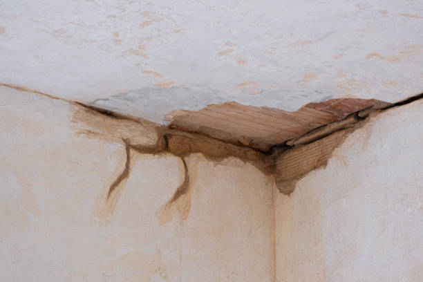 Best Emergency water damage restoration  in West Van Lear, KY