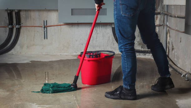 Best Professional water damage repair  in West Van Lear, KY