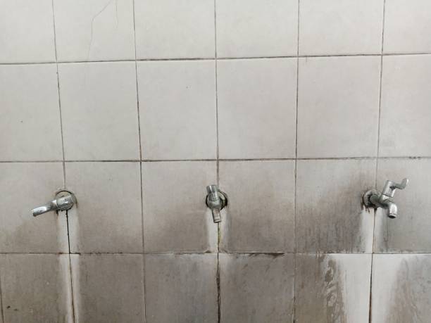 Carpet water damage restoration in KY