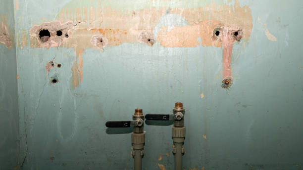 Best Basement water damage restoration  in West Van Lear, KY