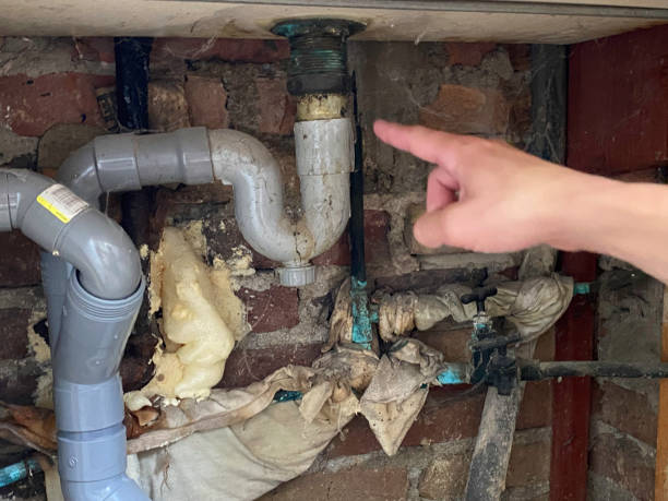 Best Water damage restoration cost  in West Van Lear, KY