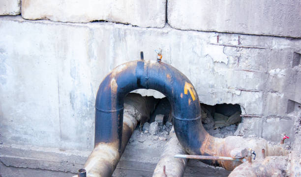 Best Water damage cleanup near me  in West Van Lear, KY